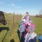 phoca_thumb_m_u kon 9 Fotogalerie